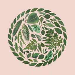 超治愈平面設計 一家人要整整齊齊的創(chuàng)意理念在網(wǎng)頁中的應用